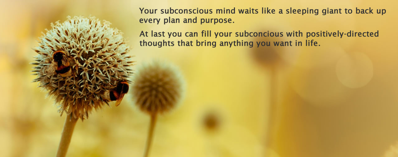 pamela-regal-hypnosis-slide-2